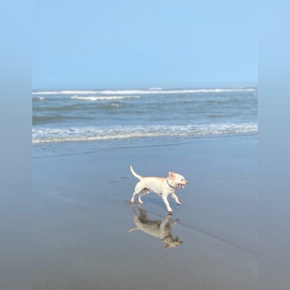 Jayma_c is going live!!! - Picture 10 of 10